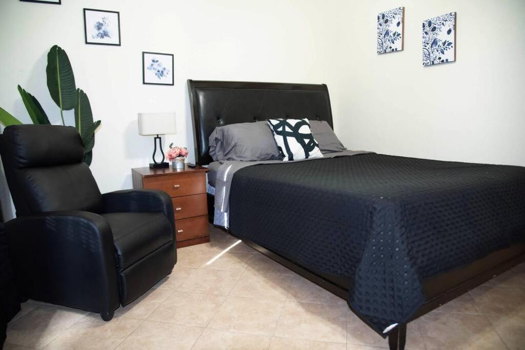 1 Min To University Utrgv 2Bd 2Bt Town Suite Edinburg Dış mekan fotoğraf